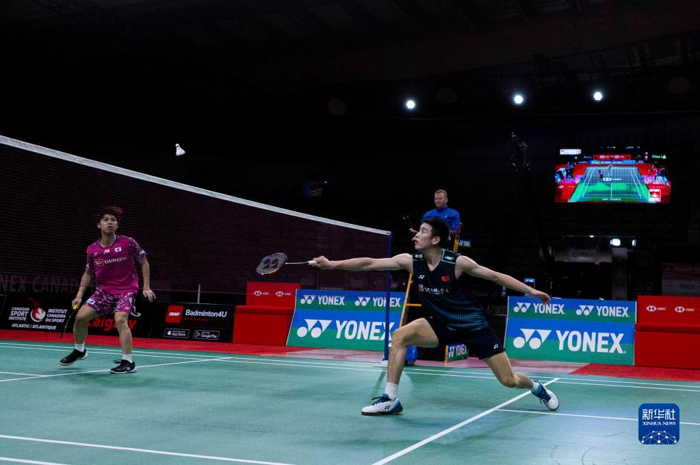 职业水准的 职业水准的