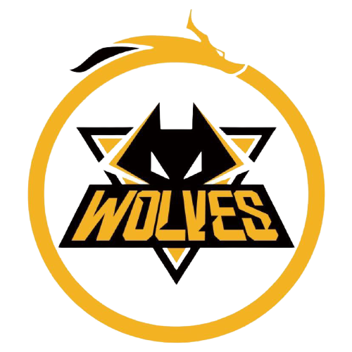 这些小球迷 这些小球迷